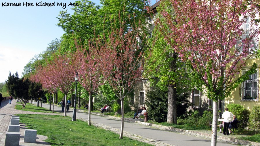 Yeşil Budapeşte