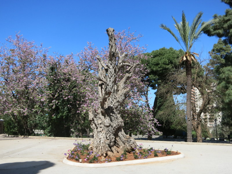 Beyrut Amerikan Üniversitesi