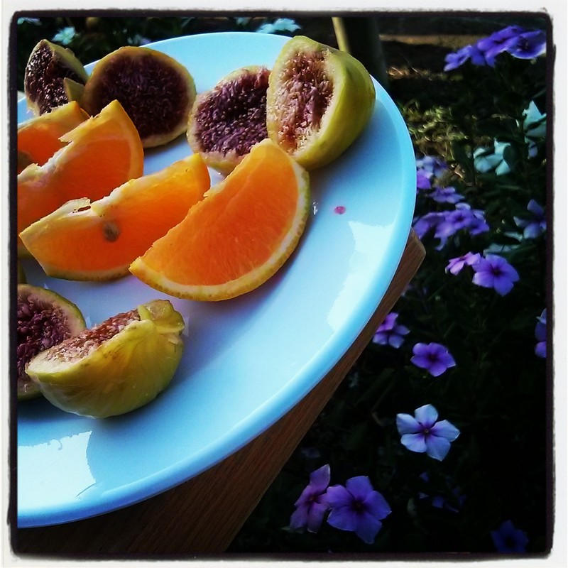 Datça Aktur- Kır Kahvesi