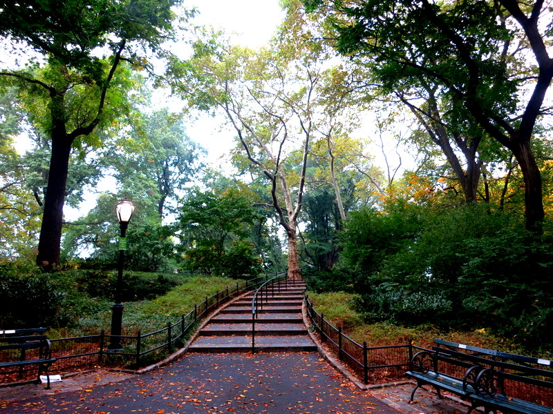 Central Park NYC