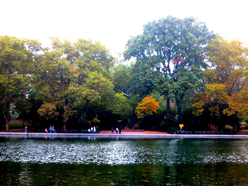 Central Park NYC