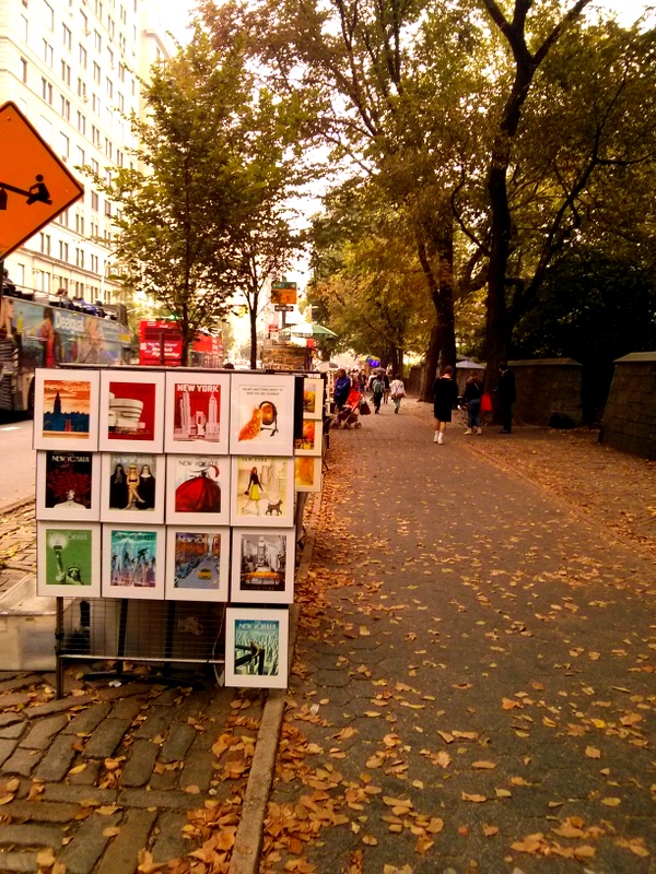 5th Avenue Central Park