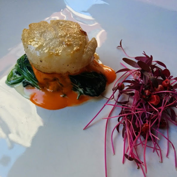 Can Oba Deniz Tarağı