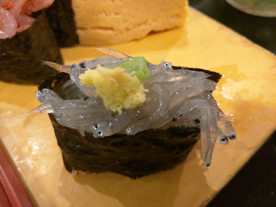 sardalya balığı yavrusu sushi